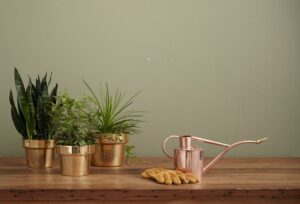 copper plant pots, watering can and garden gloves